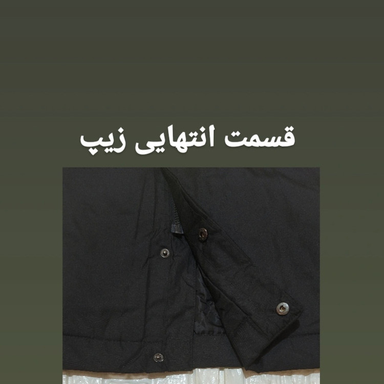 کاپشن مردانه الویت مدل LL3434