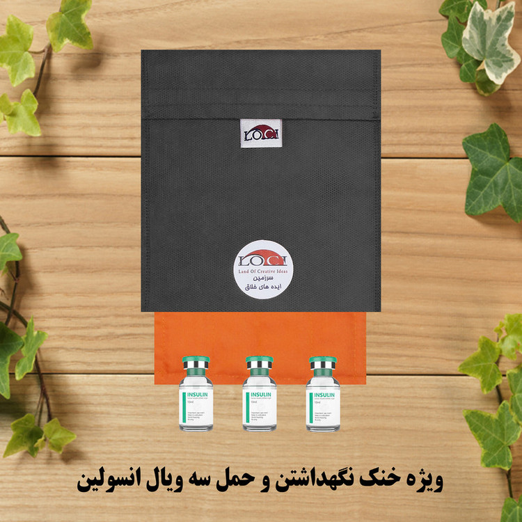 کیف خنک نگهدارنده انسولین لوک آی مدل 3 ویال کد 01 مجموعه 2 عددی