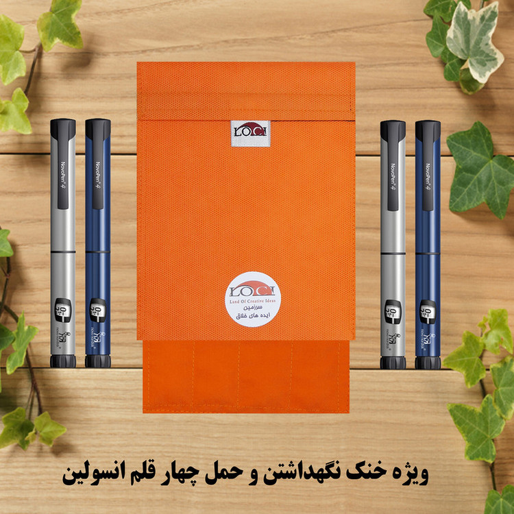 کیف خنک نگهدارنده انسولین لوک آی مدل 4 قلم کد 00 مجموعه 2 عددی