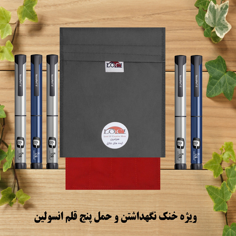 کیف خنک نگهدارنده انسولین لوک آی مدل 5 قلم کد 01 مجموعه 2 عددی