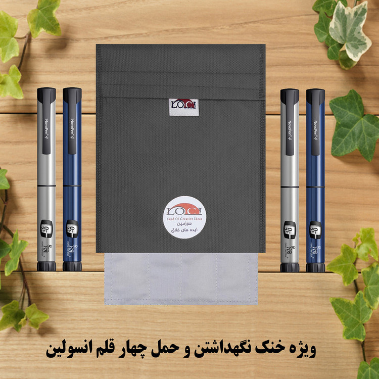 کیف خنک نگهدارنده انسولین لوک آی مدل 4 قلم کد 01 مجموعه 2 عددی